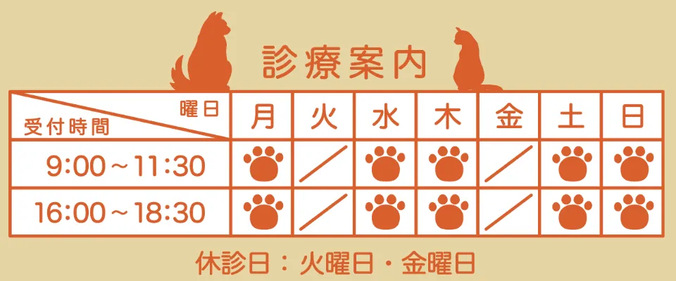 診療案内