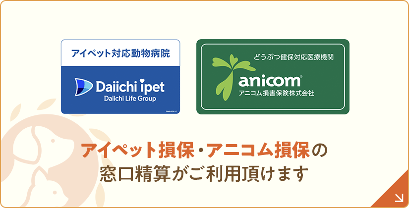 ペット保険